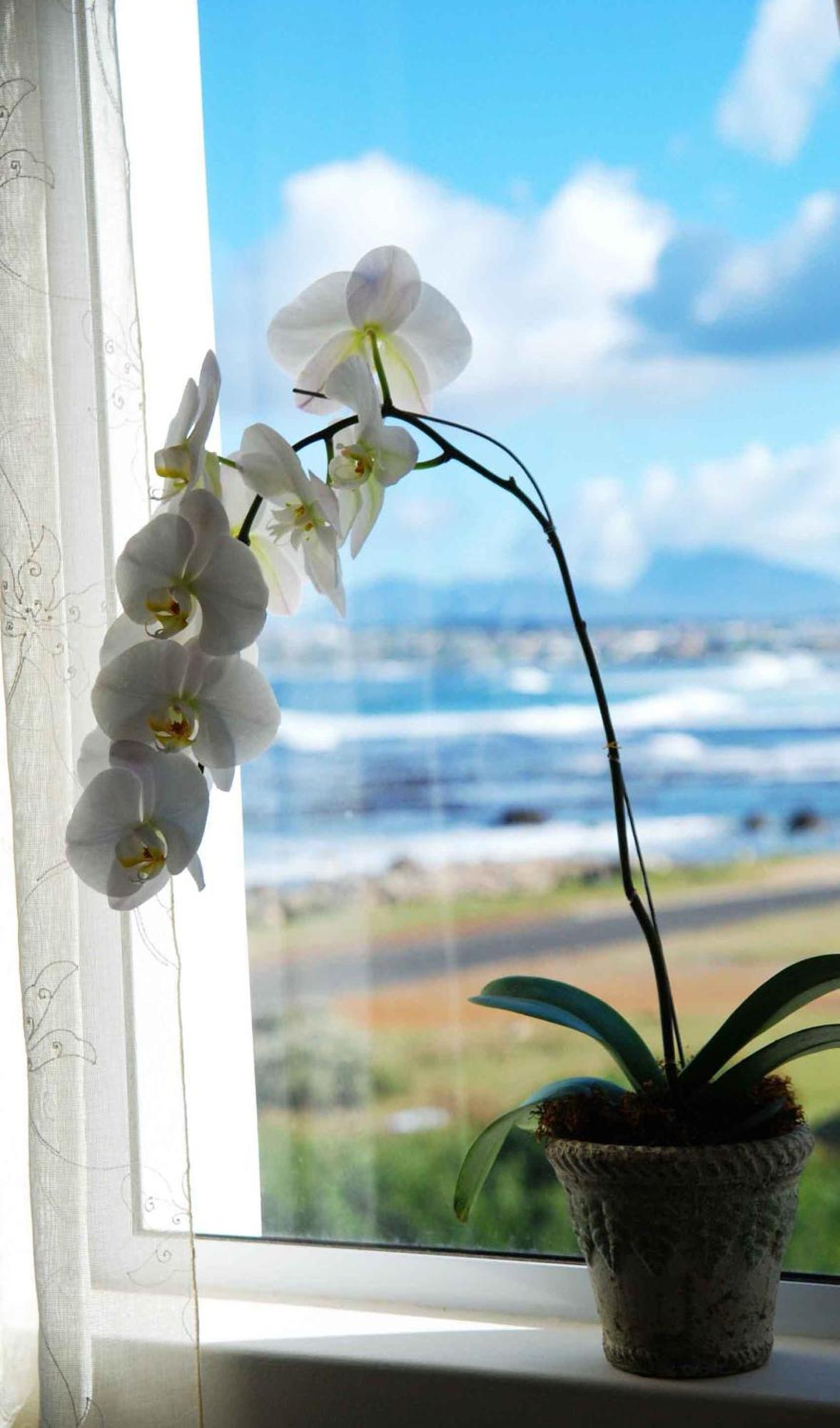 138 Marine Beachfront Gasthof 4*
